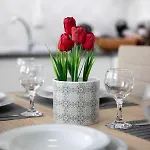Апартаменты Iliana's House *