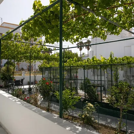 Iliana's House