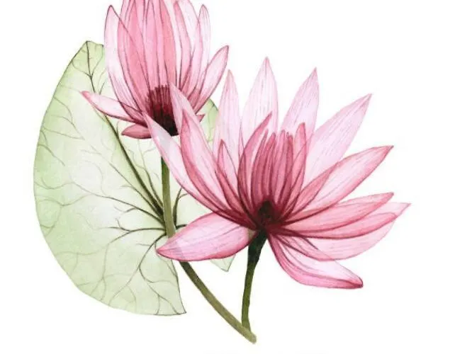 Iliana's House Lägenhet *