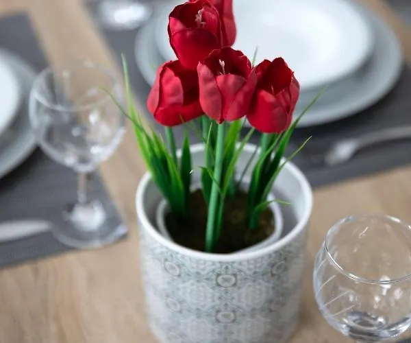 Iliana's House Zipárion