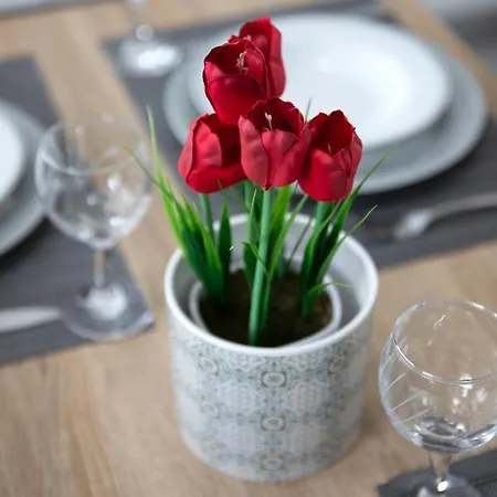 Iliana's House Ziparion