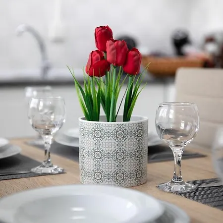 Appartement Iliana's House *