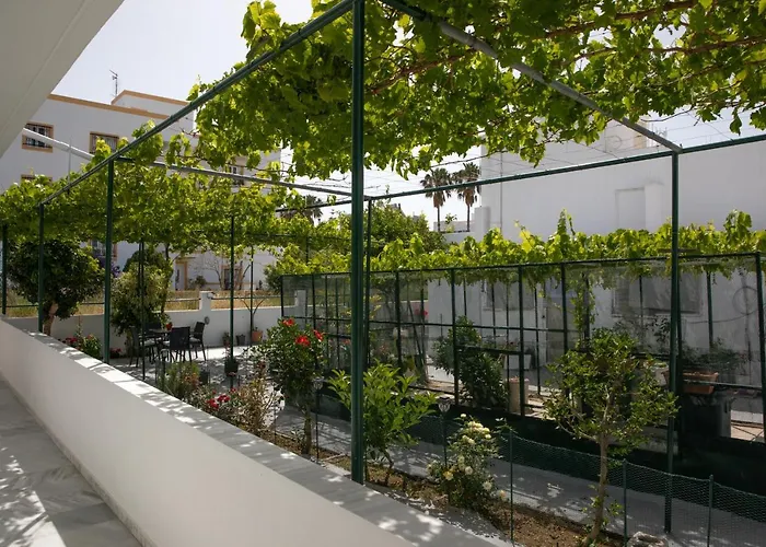 Iliana's House